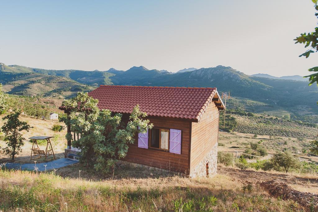 La Brizna Guest House Canamero Phòng bức ảnh